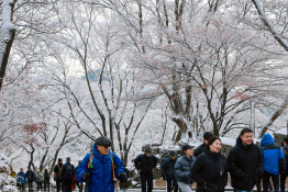 12월뉴스이호윤 (8).jpg