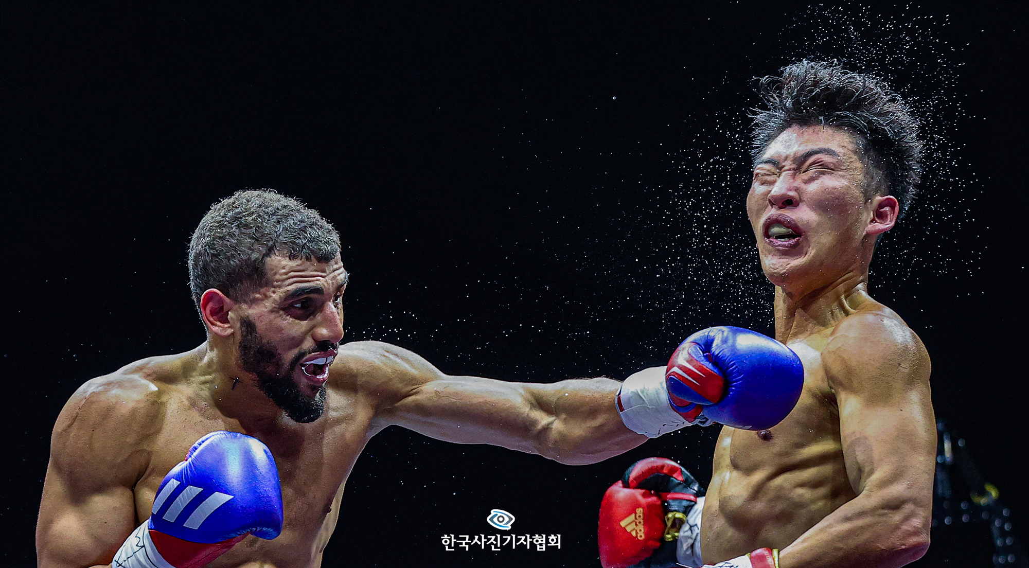 이달의 보도사진상