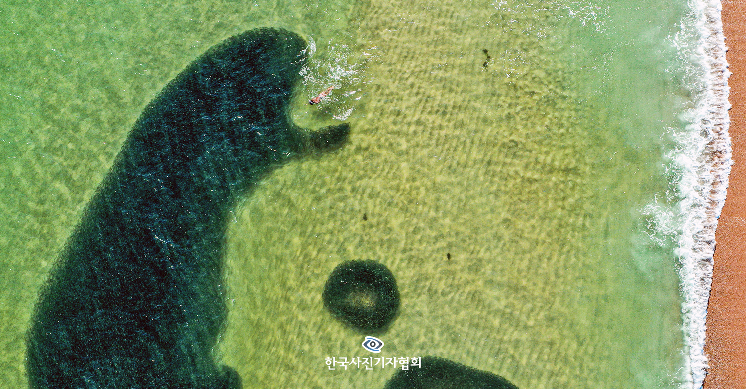 한국보도사진전